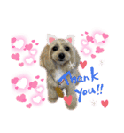 HappyBathPep4（個別スタンプ：1）