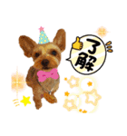 HappyBathPep4（個別スタンプ：2）