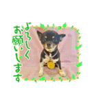 HappyBathPep4（個別スタンプ：4）