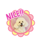 HappyBathPep4（個別スタンプ：5）