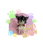HappyBathPep4（個別スタンプ：8）