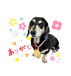 HappyBathPep4（個別スタンプ：9）