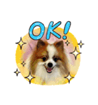 HappyBathPep4（個別スタンプ：10）