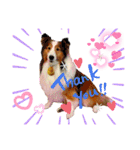 HappyBathPep4（個別スタンプ：11）