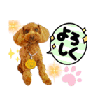HappyBathPep4（個別スタンプ：12）