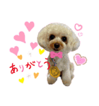 HappyBathPep4（個別スタンプ：13）