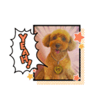 HappyBathPep4（個別スタンプ：17）