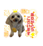 HappyBathPep4（個別スタンプ：18）