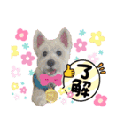 HappyBathPep4（個別スタンプ：22）