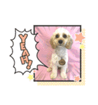 HappyBathPep4（個別スタンプ：23）