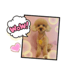HappyBathPep4（個別スタンプ：24）