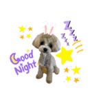 HappyBathPep4（個別スタンプ：26）