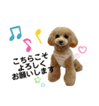HappyBathPep4（個別スタンプ：30）
