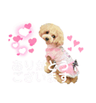 HappyBathPep4（個別スタンプ：31）