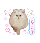 ななちゃんペルシャ猫（個別スタンプ：3）