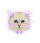 ななちゃんペルシャ猫（個別スタンプ：13）