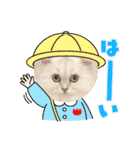 ななちゃんペルシャ猫（個別スタンプ：30）