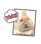うさぎの瑠美ちゃん2（個別スタンプ：3）