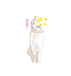 アンちゃんの夏（個別スタンプ：7）
