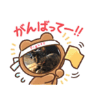 わさびマヨ（個別スタンプ：12）