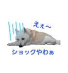 えいとさんといつも一緒スタンプ（個別スタンプ：2）