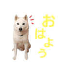 えいとさんといつも一緒スタンプ（個別スタンプ：5）