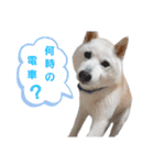 えいとさんといつも一緒スタンプ（個別スタンプ：7）