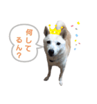えいとさんといつも一緒スタンプ（個別スタンプ：16）