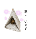 徒然ニャンズ（個別スタンプ：16）