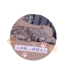 にゃん⭐︎スタドル（個別スタンプ：2）