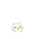 アイボリー猫（個別スタンプ：1）