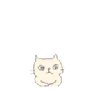 アイボリー猫（個別スタンプ：6）