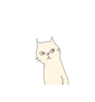 アイボリー猫（個別スタンプ：8）