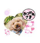 ポコすたんぷ#10（個別スタンプ：4）