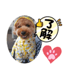 ポコすたんぷ#10（個別スタンプ：6）