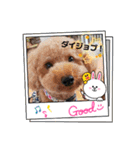 ポコすたんぷ#10（個別スタンプ：10）