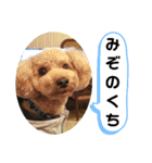 ポコすたんぷ#10（個別スタンプ：23）
