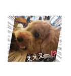 ポコすたんぷ#10（個別スタンプ：26）