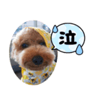 ポコすたんぷ#10（個別スタンプ：32）
