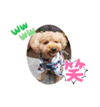 ポコすたんぷ#10（個別スタンプ：33）