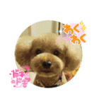 ポコすたんぷ#10（個別スタンプ：39）