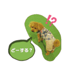 ポコすたんぷ#10（個別スタンプ：40）