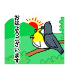 オカメインコとカラスのスタンプ（個別スタンプ：13）