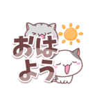 ねこ4匹（個別スタンプ：13）