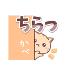 ねこ4匹（個別スタンプ：25）