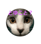新時代は、KOKI。(feat.GOMA a.k.a 諭吉)（個別スタンプ：8）