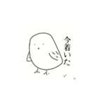 頻出日常会話(鳥)（個別スタンプ：9）