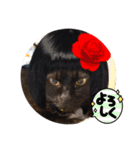 黒猫ナウちゃんスタンプ1（個別スタンプ：5）