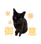 黒猫ナウちゃんスタンプ1（個別スタンプ：9）
