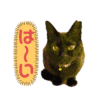 黒猫ナウちゃんスタンプ1（個別スタンプ：10）